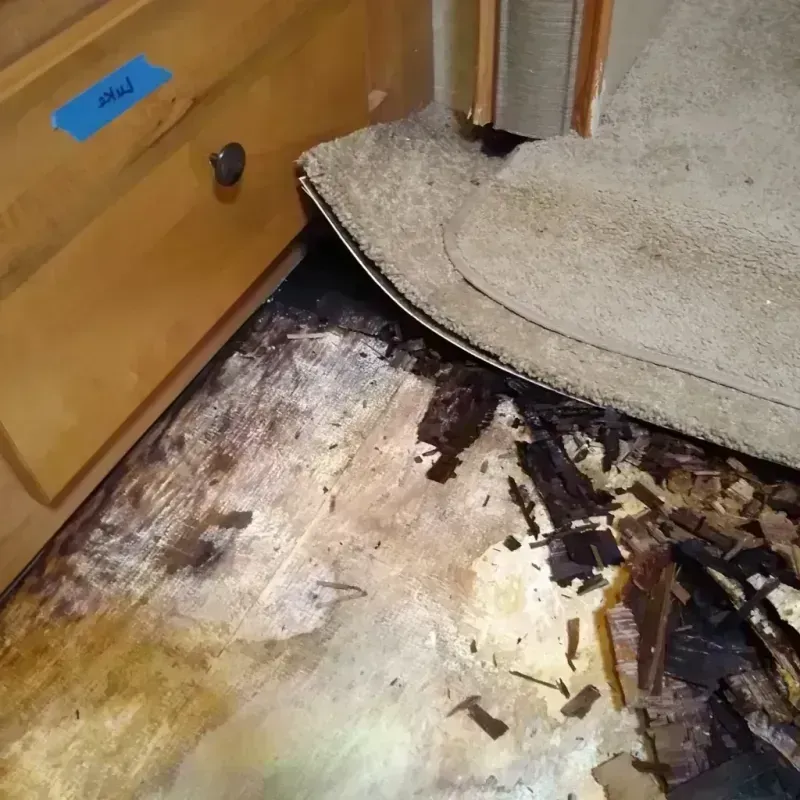 Best Wood Floor Water Damage Service in Osage County, KS